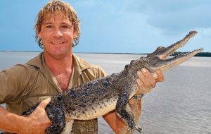 Steve Irwin cradles a large croc